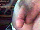 Pic #1 The Little Guy