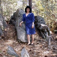 Pic #1 Blue      Dress