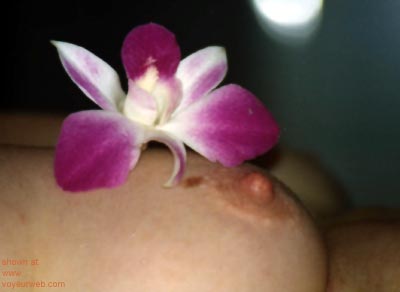 Pic #1Flowers