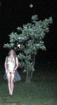 Pic #1Capitol      ShowOffs