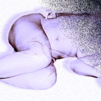 Pic #1I      read the Manual