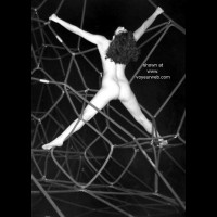 Spide      Rope