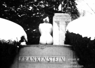 Pic #1Neon      Wife