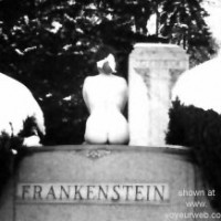 Pic #1Neon      Wife