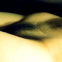 &quot;flesh&quot;
