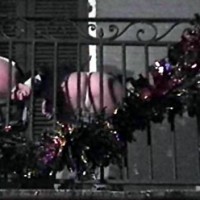 mardi      99