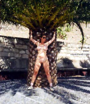 Pic #1Treebagos