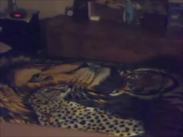 Pic #1Blowjob