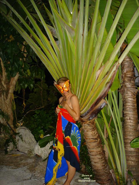 Pic #1 A Butterfly In A Banyan