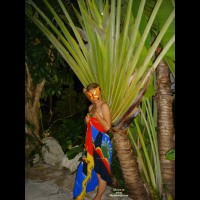 A Butterfly In A Banyan