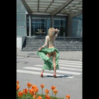 Pic #1 Emporium