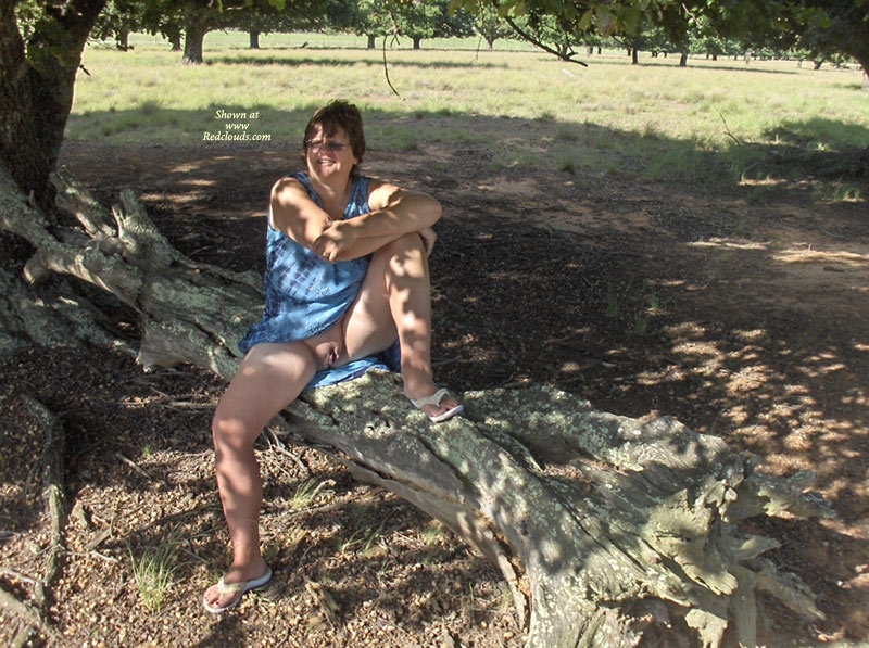 Pic #1Playing in The Wood