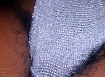 Pic #1Bush      Under Cover