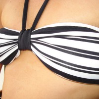 Pic #1More Mexico Vacation