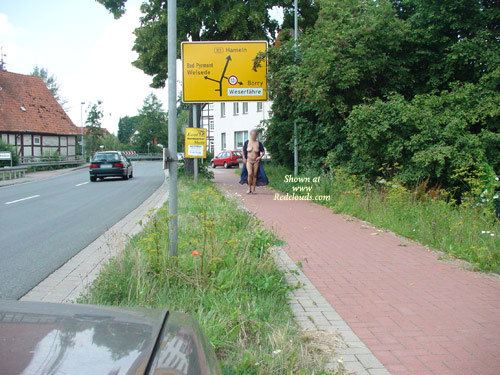 Pic #1Sonnenschein