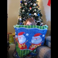 cl Sexy Lis's Xmas Decor