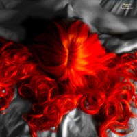 *sw Pixie's Orange Wig