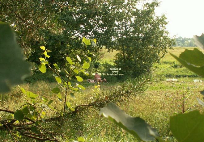 Pic #1Quietly Fucking