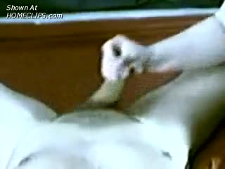 Pic #1Tied Gaged Hand Job Part 2