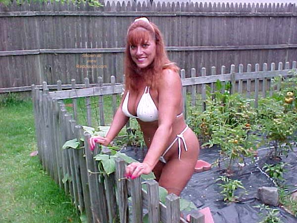 Pic #1Pandora's Secret Garden
