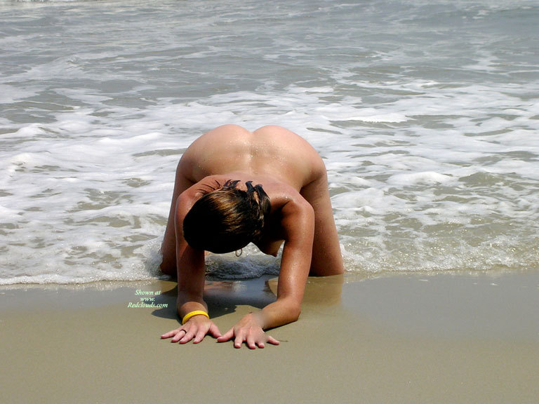 Pic #1Wfi's Over The Years *rw