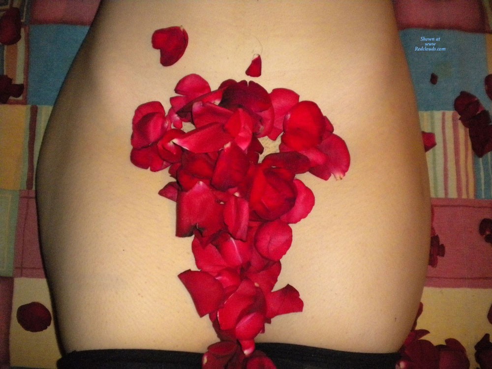 Pic #1Noche Romantica - Penetration Or Hardcore, Latina