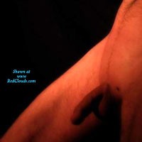 Pic #1M* Something For The Girls