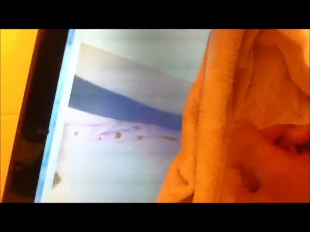 Pic #1M* For You Mel