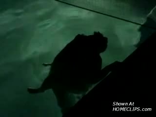 Pic #1Night Time Pool Play