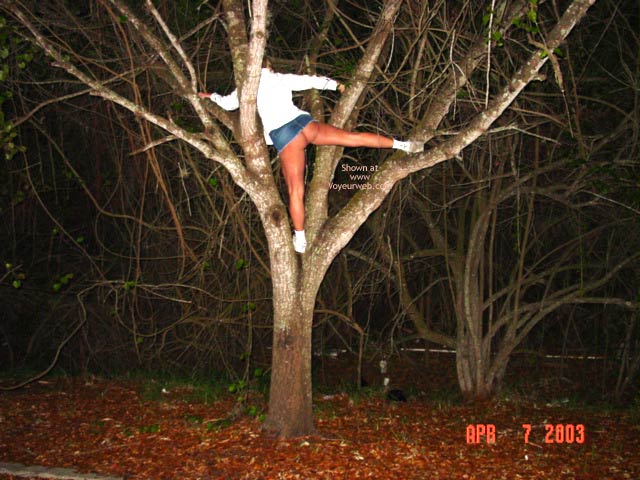 Pic #1Up A Tree