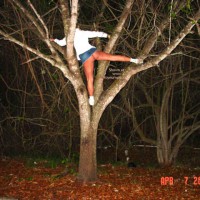 Pic #1Up A Tree
