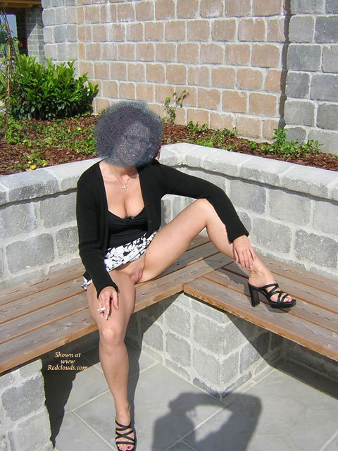 Pic #1A Day In A Stone Garden