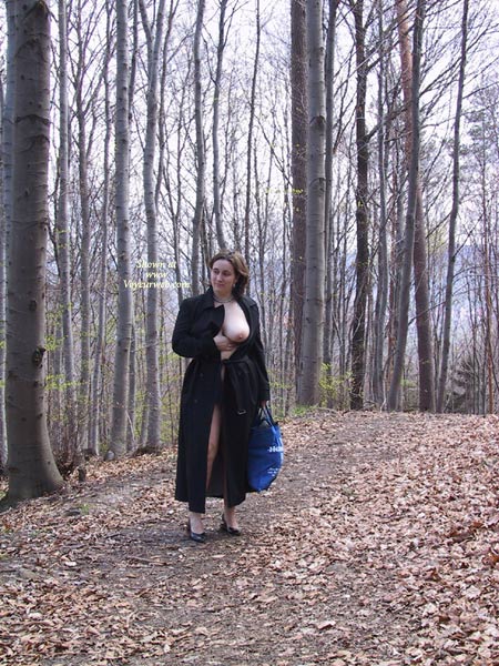 Pic #1In The Forest