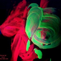 Pic #1Neon