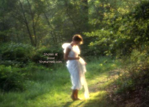 Pic #1 Into The Woods