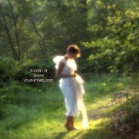 Into The Woods