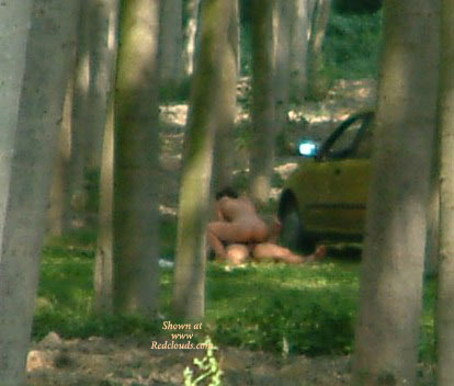 Pic #1Sintra - Portugal