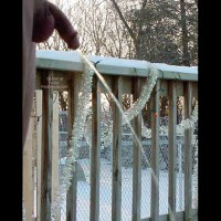 Pic #1M* Winter Pee / VW Butts