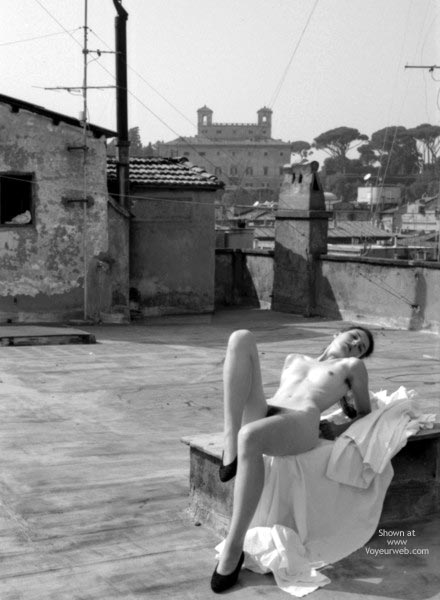 Pic #1*Wd Spring In The City