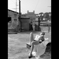 Pic #1*Wd Spring In The City