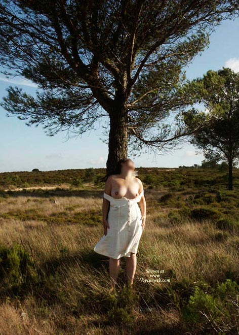 Pic #1 Tulipa Is Back