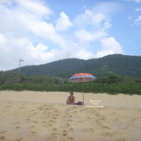 A Recent Trip In Brazil