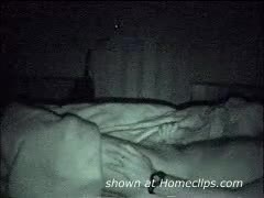 Pic #1Patti Strokes Dannion