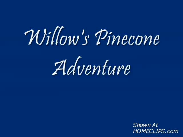 Pic #1Willow&#39;s Found Object