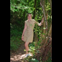 Promenade Dans Les Bois