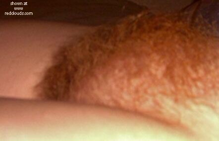 Pic #1Strawberry Fields Forever cont.