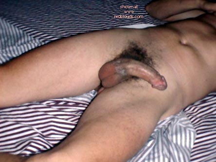 Pic #1M* "ARNO's DREAM"