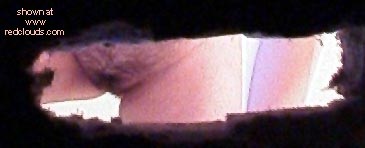 Pic #1Wife First Trim