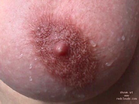 Pic #1Sunny California 2