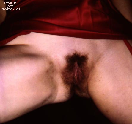 Pic #1My Hot Loren 2